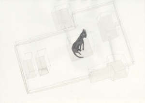 DN_Katzenparadies_v2